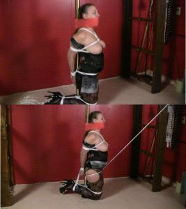 www.brendasbound.com - 0160 Pole Bound Hogtie Stile thumbnail