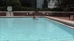 www.brendasbound.com - 0220 Taking A Swim thumbnail