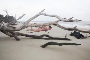 www.brendasbound.com - 0254 Jeckle Island Nightmare thumbnail