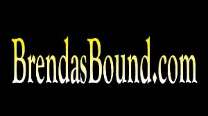 www.brendasbound.com - 0797 Stupid Stripper Needs A Lesson In Crotch Rope Predicament thumbnail